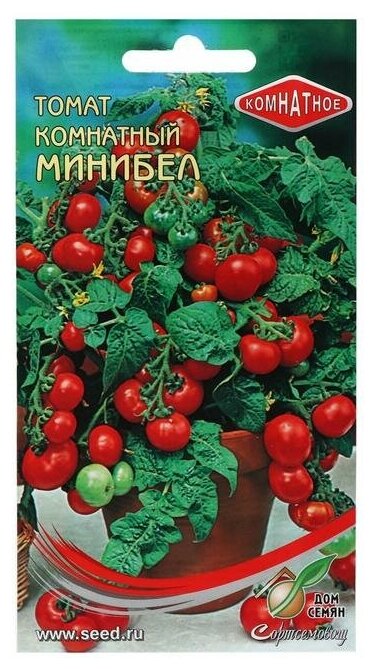 Семена цветов Томат комн. Минибел, 15 шт