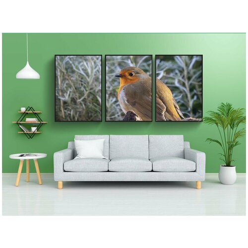 фото Набор модулных постеров для интерьера "робин, птица, songbird" 60x90 см. в тубусе, без рамки lotsprints