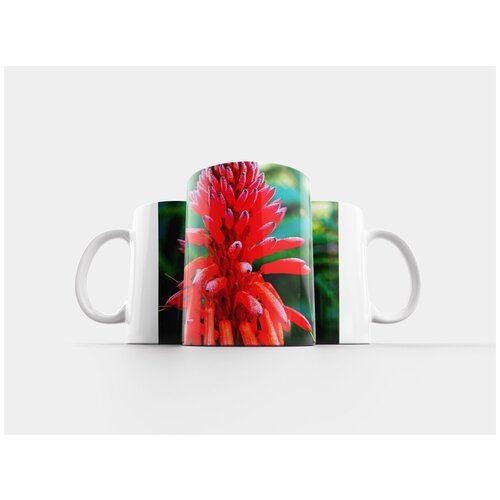 фото Кружка "красный, природа, цвести" 320 мл lotsprints