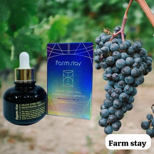 Сыворотка для лица FS GRAPE STEM CELL WHITENING AMPOULE (30ml).