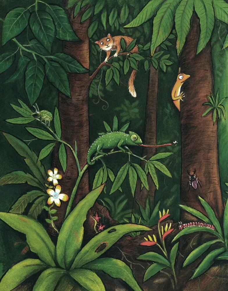 Дональдсон Дж.,Шеффлер А.Хочу к маме! - фото №2