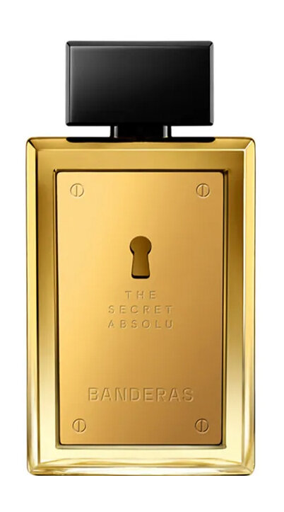 BANDERAS The Secret Absolu Парфюмерная вода муж, 100 мл