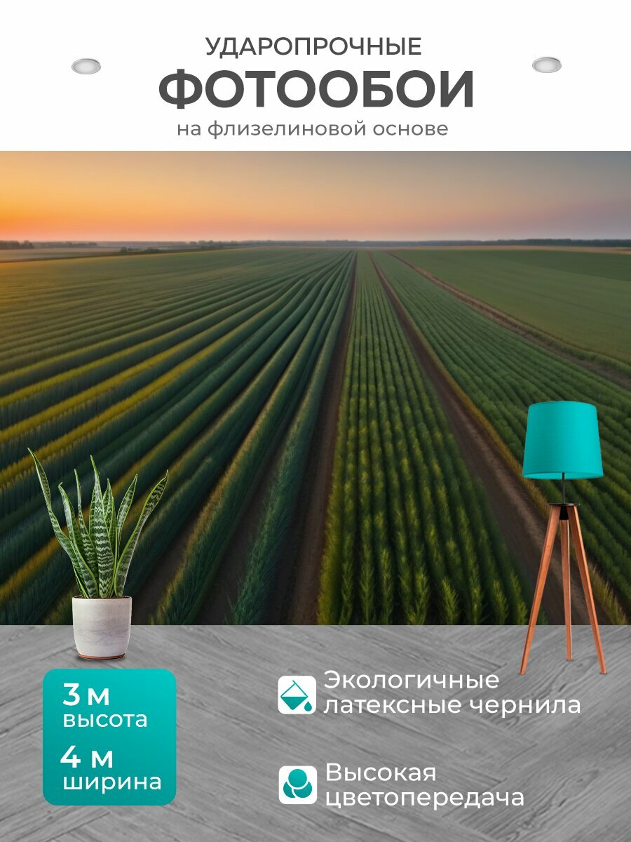Фотообои моющиеся ударопрочные "Восход солнца над полями пшеницы" 400x300 см. флизелиновые на стену