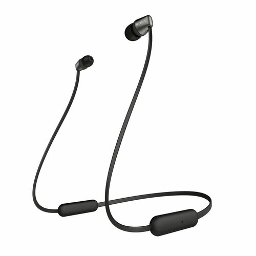 Sony Наушники с микрофоном Sony WI-C310 USB Type-C черный 2563₽