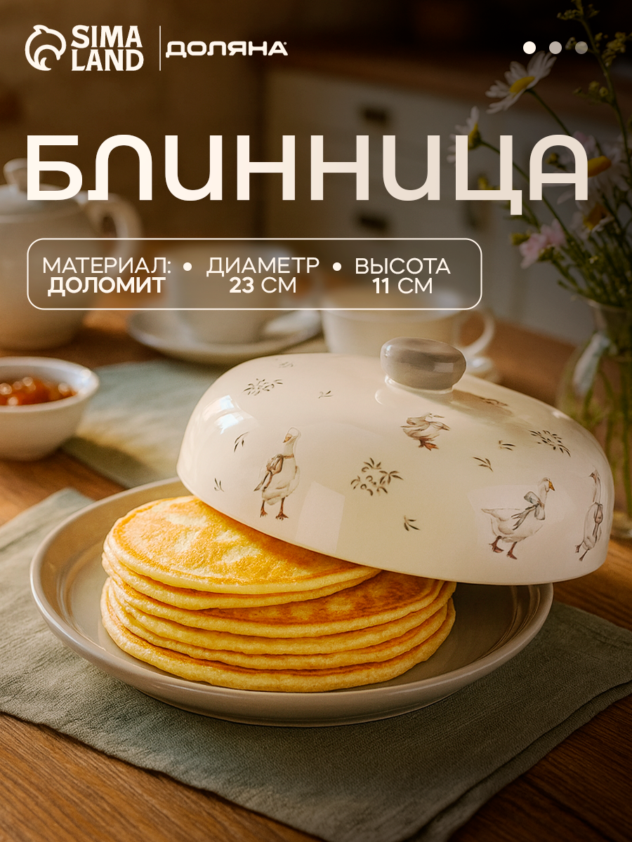 Блинница для сервировки стола Доляна «Гуси» d=23 доломит белая серая