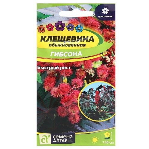 Семена цветов Клещевина Гибсона, Сем. Алт, ц/п, 3 шт семена цветов клещевина гибсона сем алт ц п 3 шт