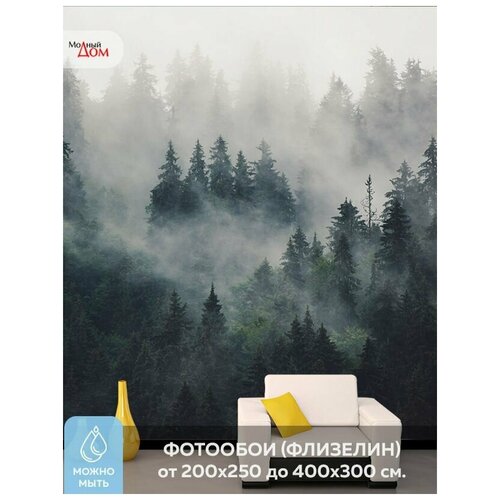 Фотообои на стену Модный Дом Лес в Тумане 250x290 см (ШxВ), в спальню, гостиную