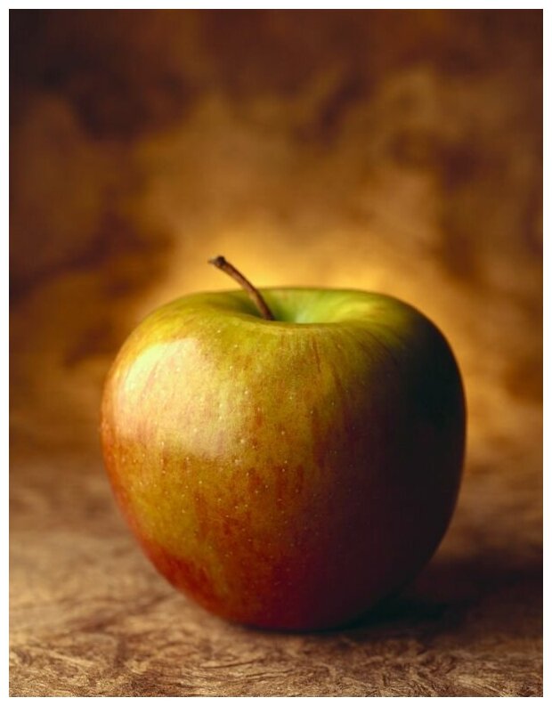 Постер на холсте Яблоко (Apple) №1 30см. x 39см.