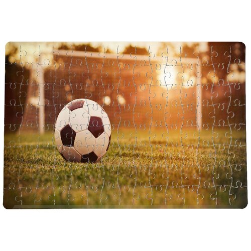 Пазлы CoolPodarok Футбол Футбольный мяч Ворота Поле Трава 20х29см 120 элемента