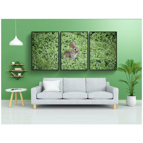 фото Набор модулных постеров для интерьера "кролик, милый, детка" 60x90 см. в тубусе, без рамки lotsprints