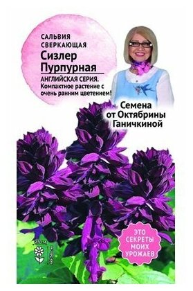 Семена Сальвия Сизлер пурпурная Семена от Октябрины Ганичкиной 001 гр