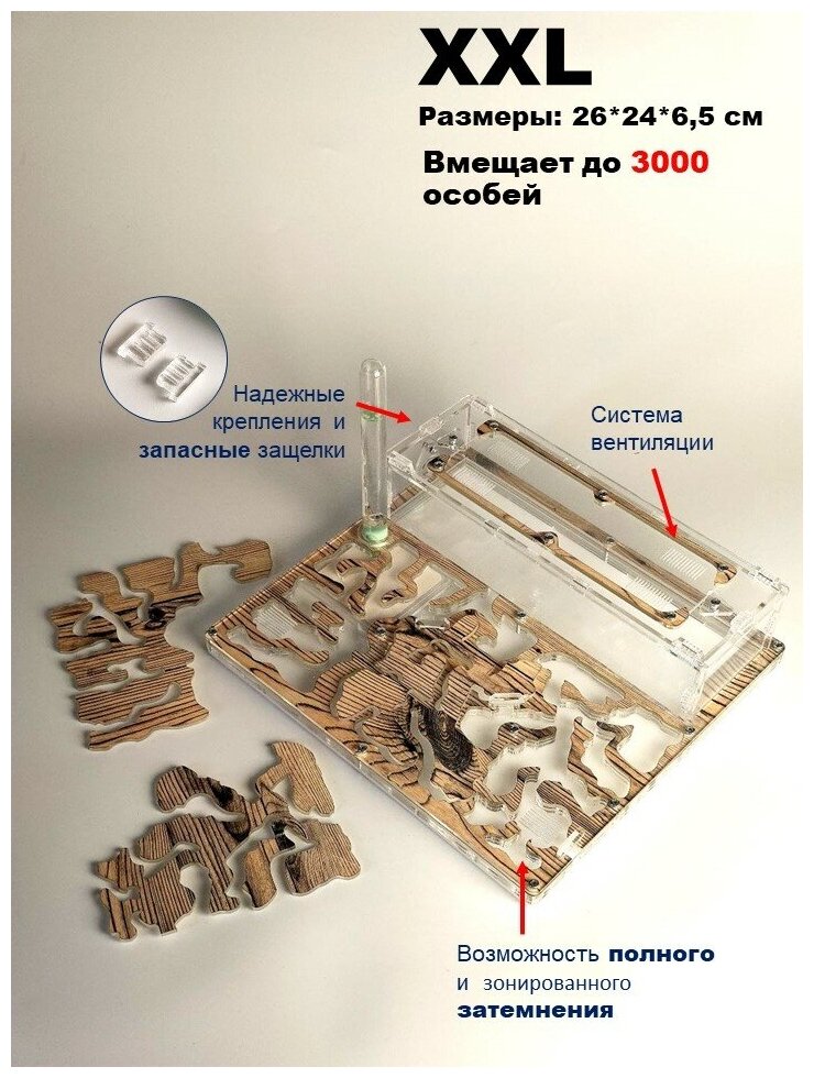 Большая муравьиная ферма "Сосна" XXL Люкс 26*24*6.5см - фотография № 3