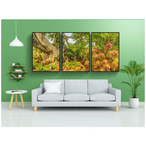 фото Набор модулных постеров для интерьера "банановое дерево, южная флорида, шангри-ла" 60x90 см. в тубусе, без рамки lotsprints