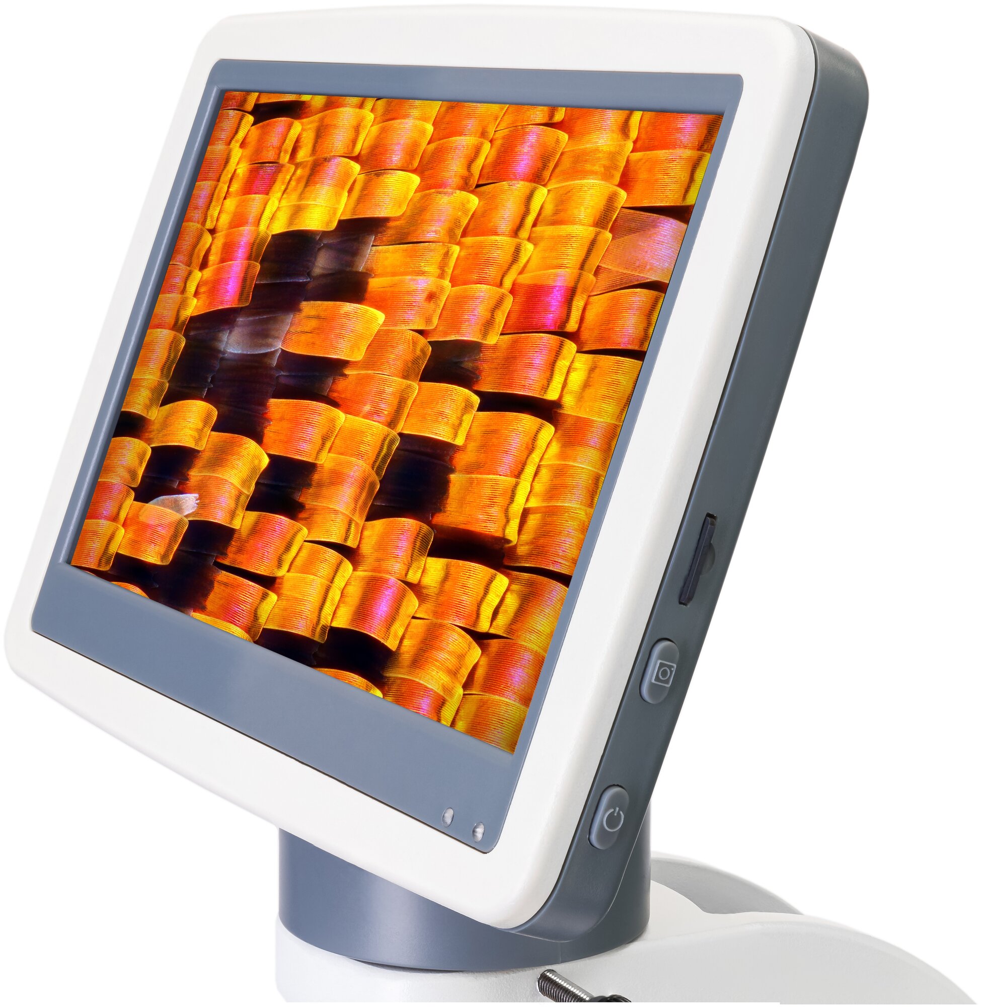 Микроскоп цифровой Levenhuk D95L LCD, монокулярный - фото №9