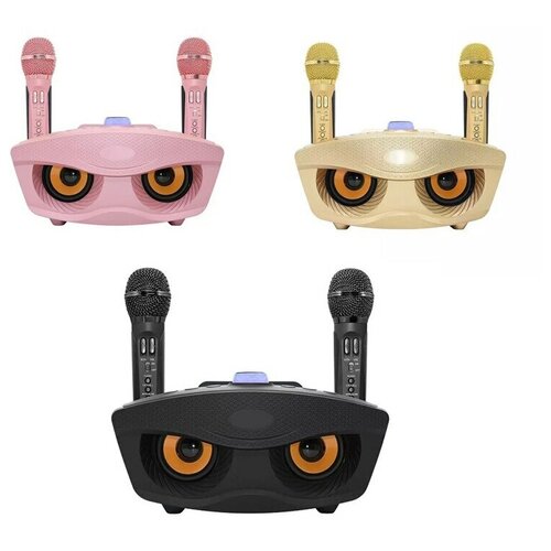 Беспроводная стерео-система караоке Fodar SDRD SD-306 717100₽