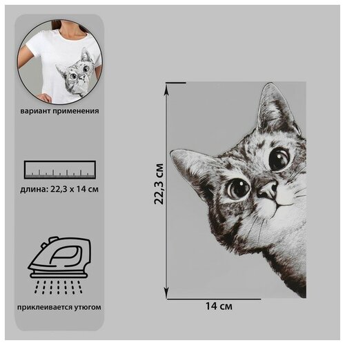 Термотрансфер «Любопытный кот», 14 × 22,3 см