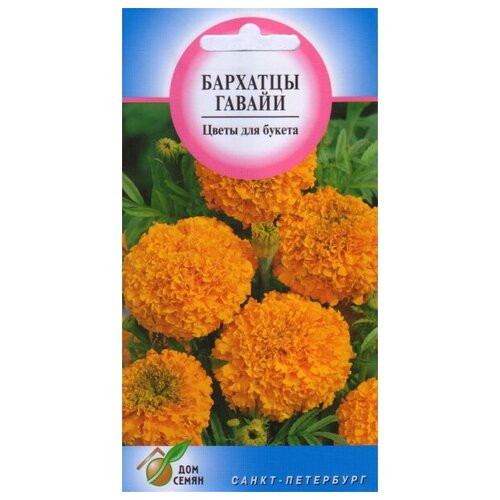 Бархатцы (Тагетес прямостоячий) Гавайи, 70 семян