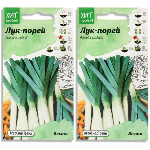 Набор семян Лук зеленый Веста на зелень 0.5 г АСТ - 2 уп. набор семян лук зеленый веста на зелень 0 5 г аст 3 уп