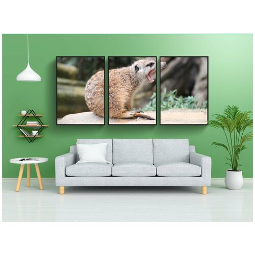 фото Набор модулных постеров для интерьера "meerkat, зоопарк, зуб" 60x90 см. в тубусе, без рамки lotsprints
