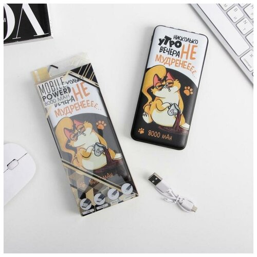 Зарядное устройство Утро вечера НЕ мудреннеее 8000 mAh 145 х 69 см 165400₽