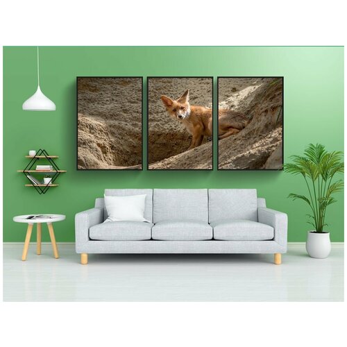 фото Набор модулных постеров для интерьера "лиса, vulpes vulpes, яростный" 60x90 см. в тубусе, без рамки lotsprints