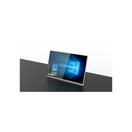 Монитор Genius Slim Wize Pro 156 WR-15GS black 57502400₽