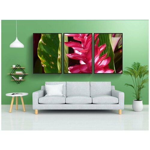 фото Набор модулных постеров для интерьера "цвести, тропический, экзотика" 60x90 см. в тубусе, без рамки lotsprints