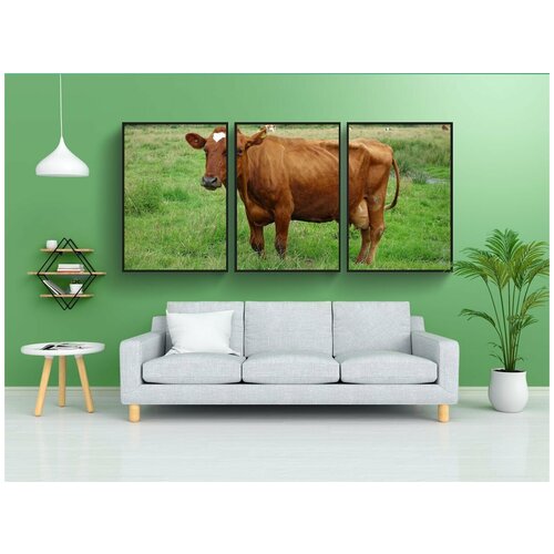фото Набор модулных постеров для интерьера "корова, крупный рогатый скот, домашний скот" 60x90 см. в тубусе, без рамки lotsprints
