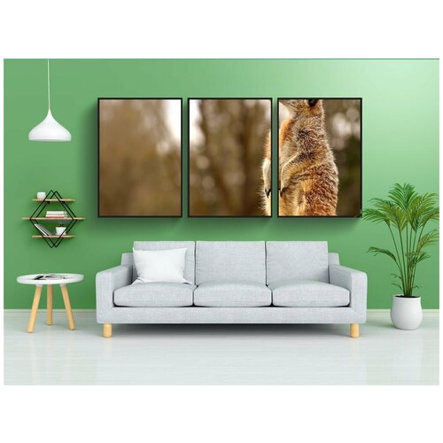 фото Набор модулных постеров для интерьера "сурикат, животное, природа" 60x90 см. в тубусе, без рамки lotsprints