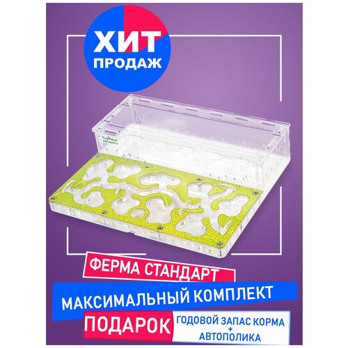 Стандартная муравьиная ферма + максимальный комплект + подарки, topant.ru (формикарий)