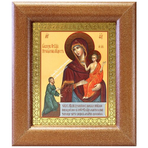Икона Божией Матери Нечаянная Радость, в широкой рамке 14,5*16,5 см икона божией матери нечаянная радость в широкой рамке 19 22 5 см