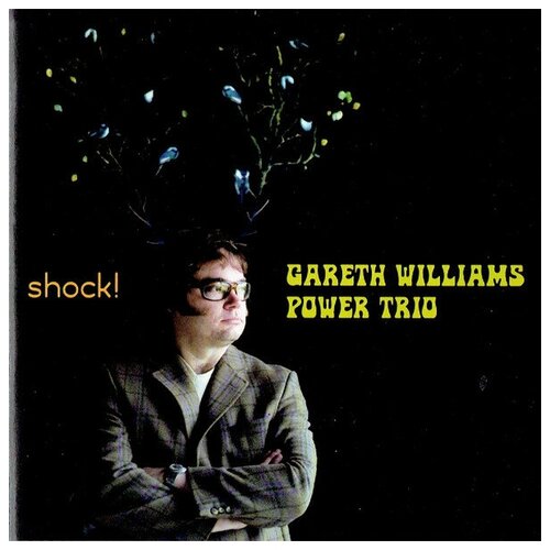 Shock! - Gareth Williams Power Trio