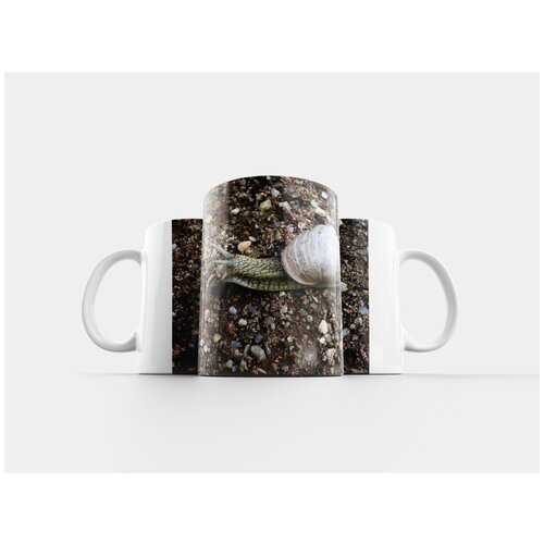 фото Кружка "улитка, оболочка, моллюск" 320 мл lotsprints