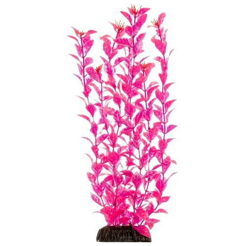 Растение Laguna Людвигия ярко-розовая для акариумов (50 см)