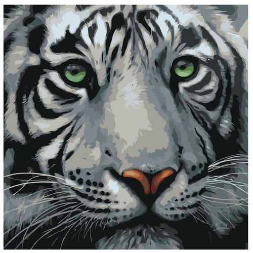 Картина по номерам, Живопись по номерам, 48 x 48, A373, Белый тигр, портрет, крупный план, морда, нос, зелёные глаза, дикий, животное картина по номерам живопись по номерам 48 x 48 a373 белый тигр портрет крупный план морда нос зелёные глаза дикий животное