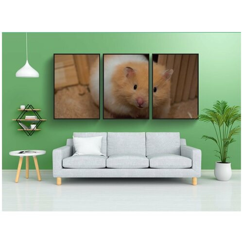 фото Набор модулных постеров для интерьера "милый, небольшой, золотой хомяк" 60x90 см. в тубусе, без рамки lotsprints