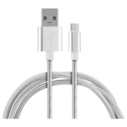 Кабель Energy ET-29-2 USB - Type-C, 2 м, серебристый