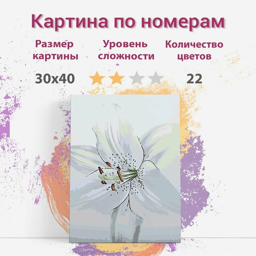 Картина по номерам на холсте с подрамником, "Цветы. Лилия", 30х40 см — фото 1