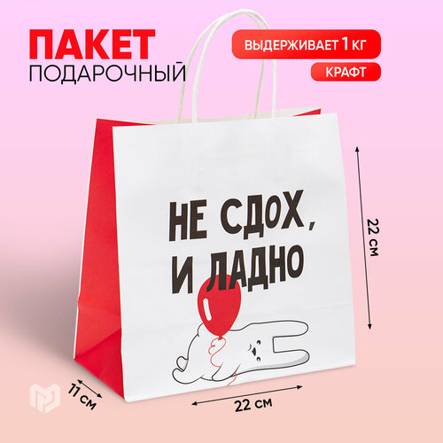 Пакет подарочный «И ладно», 22 х 22 х 11 см красный, белый, черный