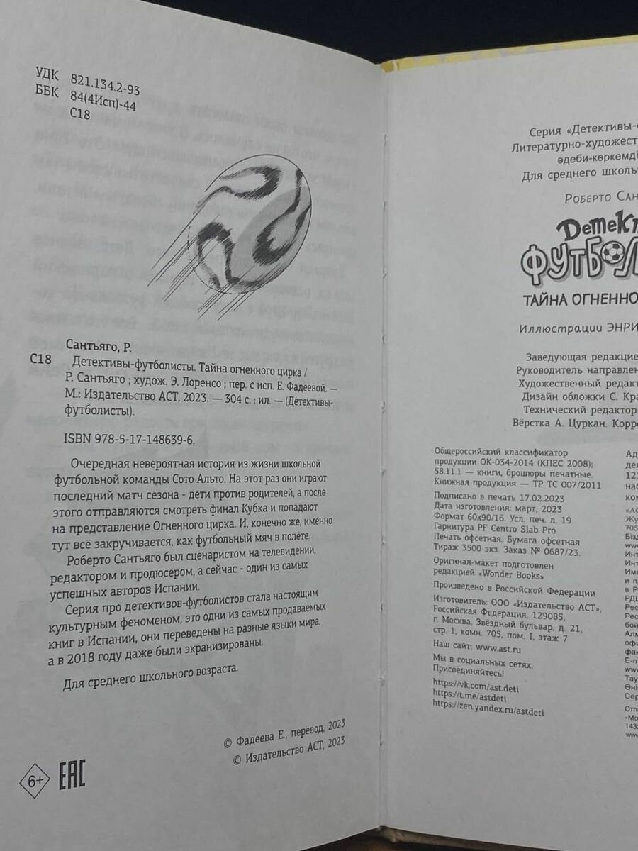 Детективы-футболисты. Тайна огненного цирка - фото №15