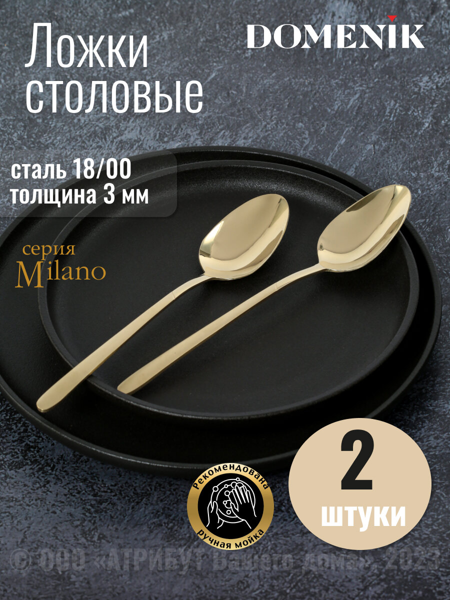 Ложка столовая MILANO 2шт