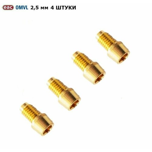Жиклер для форсунок ГБО OMVL Gemini 2,5 мм (4 штуки)