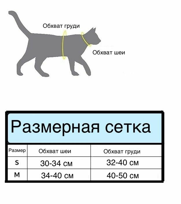 Анатомическая шлейка для маленьких и средних собак и кошек