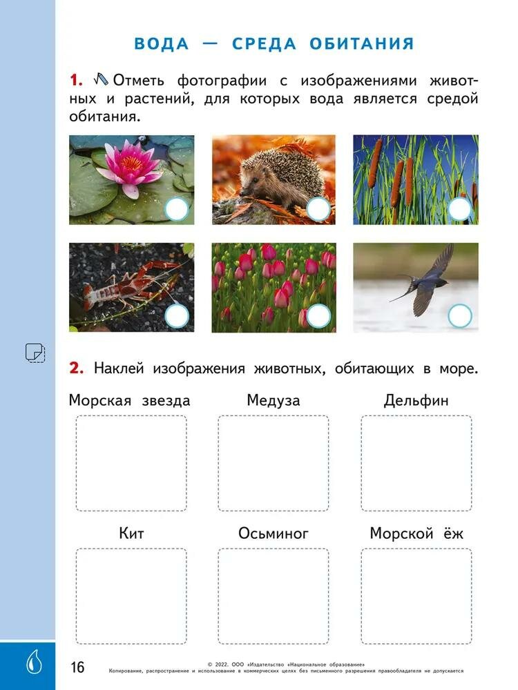 Окружающий мир. 1-2 классы. Наблюдения, эксперименты, проекты. Вода. Рабочая тетрадь - фото №2