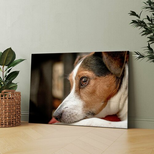 Картина на холсте (Собака в красном ошейнике лежит на красном стуле) 40x60 см. Интерьерная, на стену.