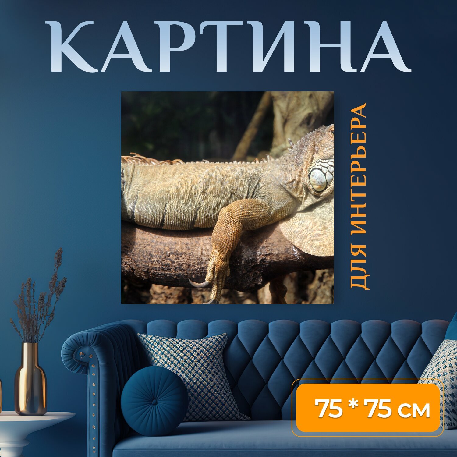 Картина на холсте "Игуана, животные, ящерица" на подрамнике 75х75 см. для интерьера