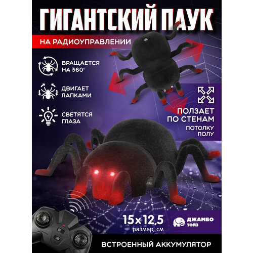 фото Радиоуправляемый гигантский паук ползает по стенам, потолку и полу, насекомое, на пульте управления, jb0214888 autodrive