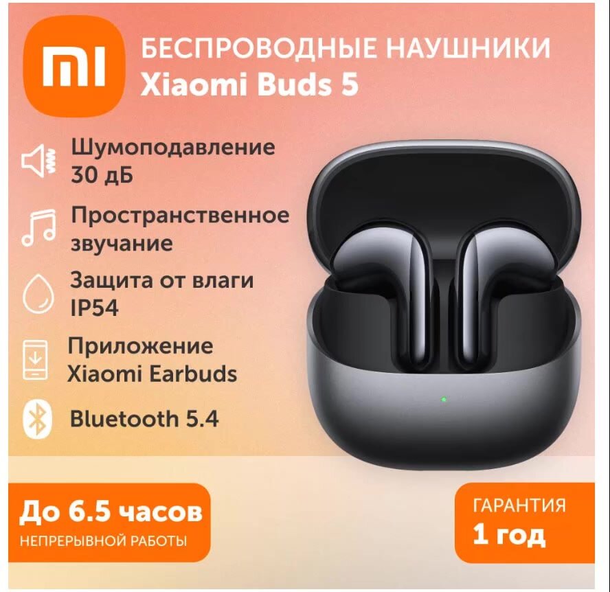 Беспроводные наушники Xiaomi Buds 5 M2341E1 (BHR8113CN), версия CN, Bluetooch 5.4, серый графит — фото 1
