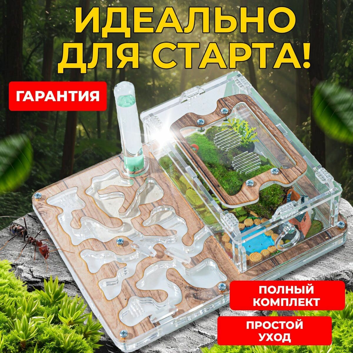 Муравьиная ферма "Древесная" ВСЕ включено Стандарт / Формикарий для муравьев — фото 1
