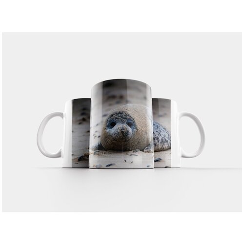 фото Кружка "серый тюлень, тюлень, halichoerus grypus" 320 мл lotsprints